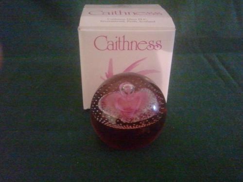 Caithness Eternity Paper weight.jpg