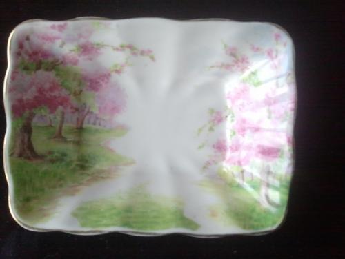 Royal Alber |Blosson Time bone rare china dish.jpeg