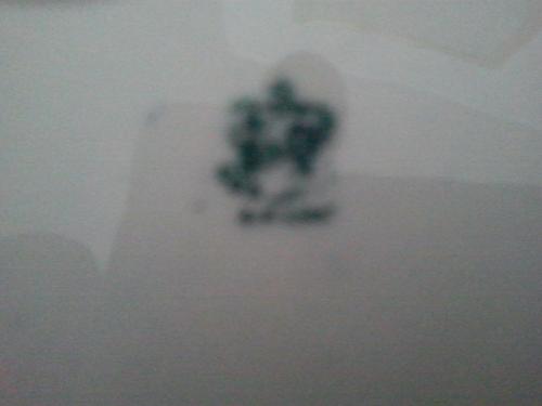 Vintage Willow Pattern Gold rimmed Coalport 10 inch plate2.jpeg